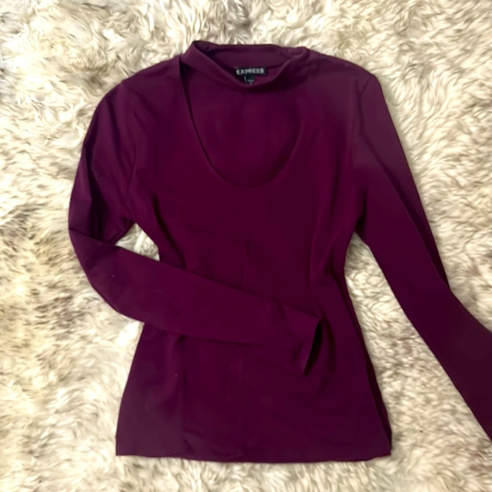 Express Burgundy Choker Top